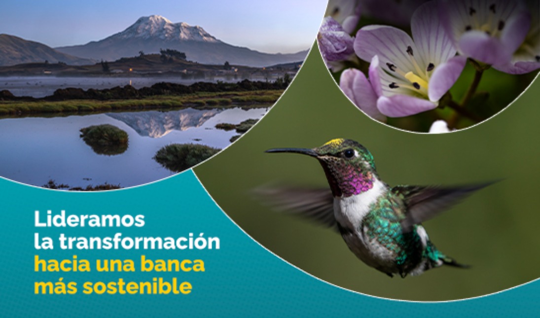 Primer informe unificado TCFD + TNFD del Ecuador