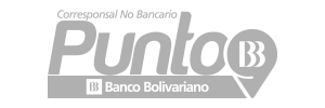 ico-puntobb-gray
