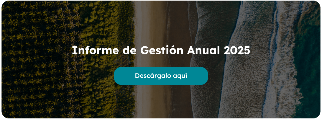 Informe de Gestión Anual 2025