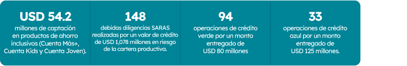 desarrollo-2025